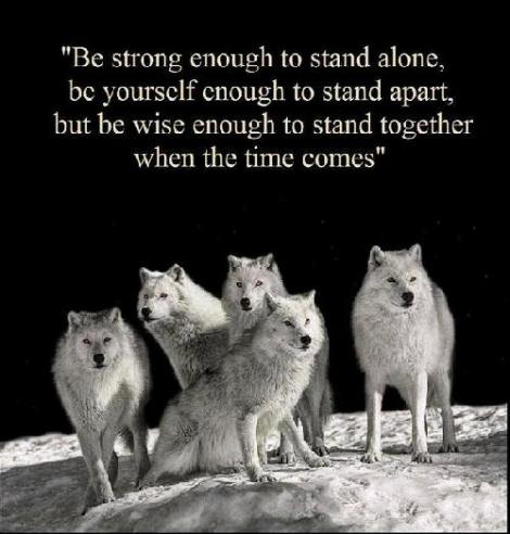 Wolves and wise