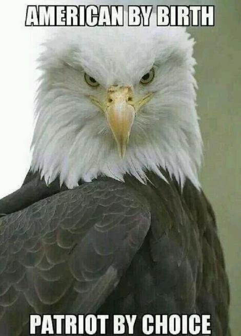 Eagle American by birth; patriot by choice